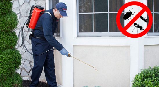 Zile Gümüşkurt İlaçlama böcek ilaçlama ve haşere kontrolü — ilaclama-tr.com